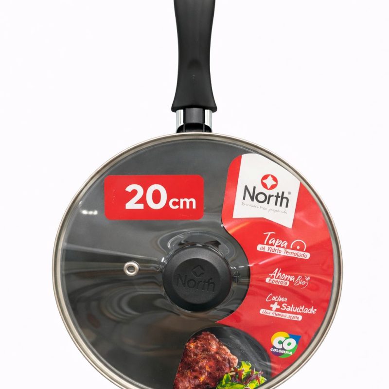 SARTEN ANTIADHERENTE X20CM NORTH