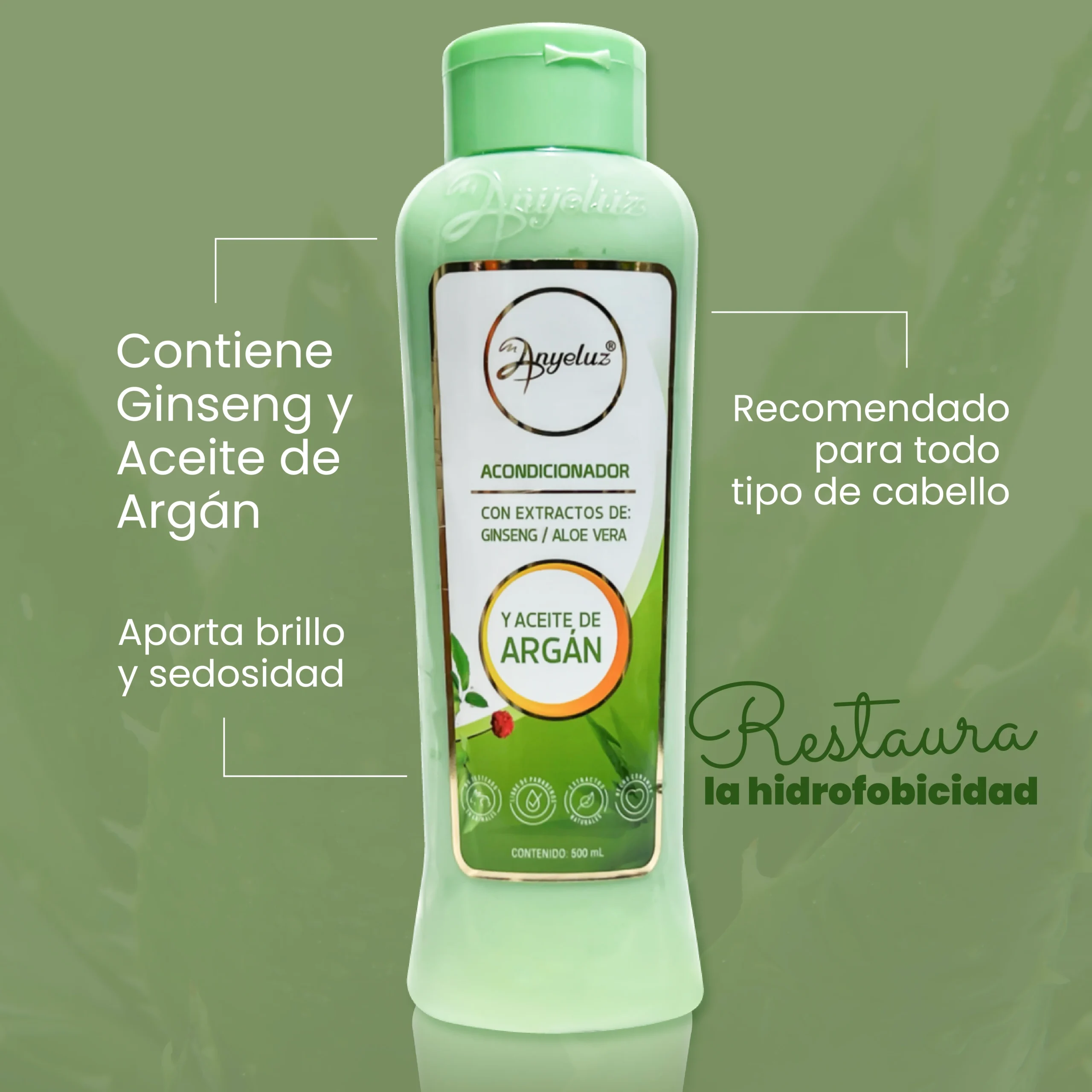 ACONDICIONADOR ANYELUZ ALOE VERA X500ML - Imagen 2