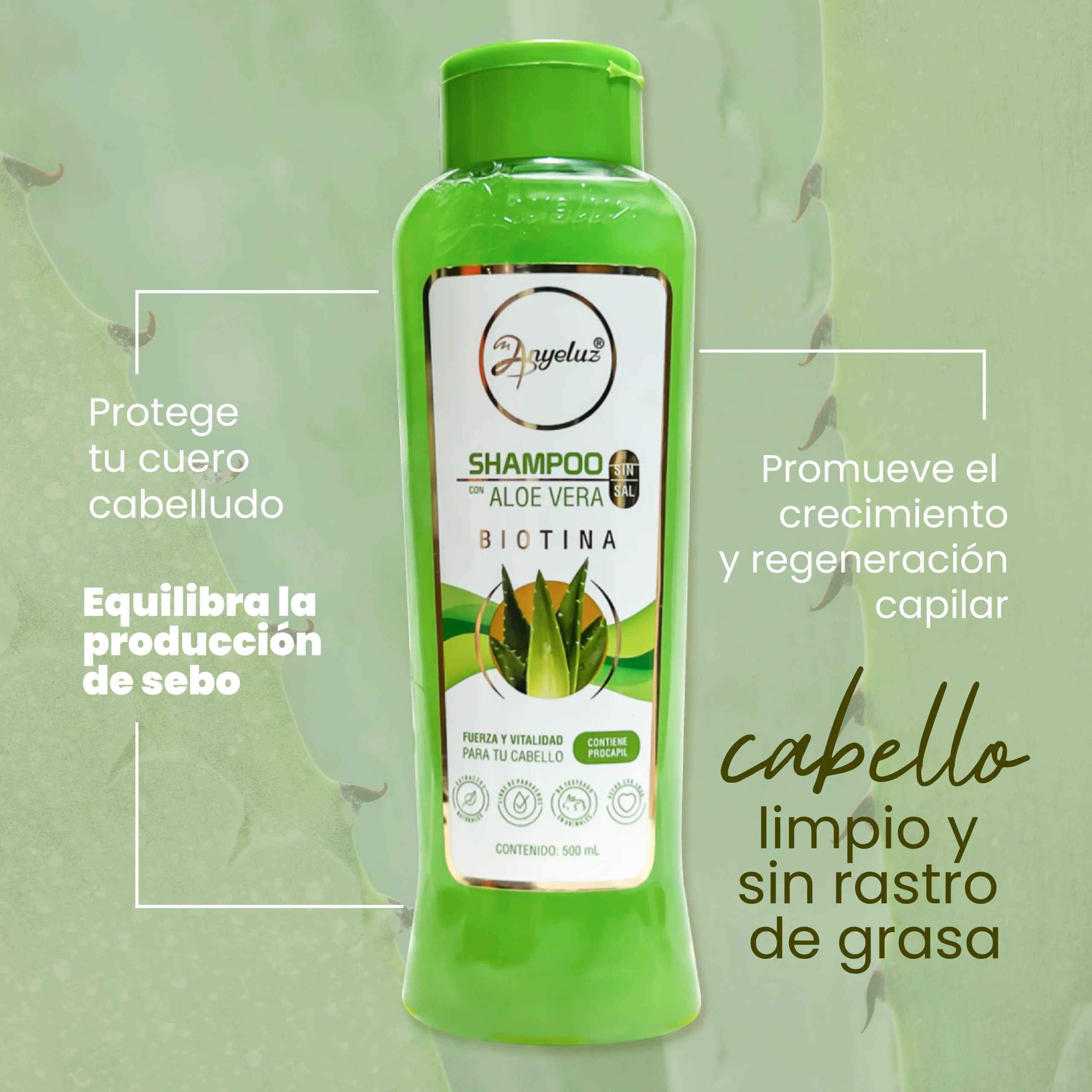 SHAMPOO ANYELUZ ALOE VERA X500ML - Imagen 2