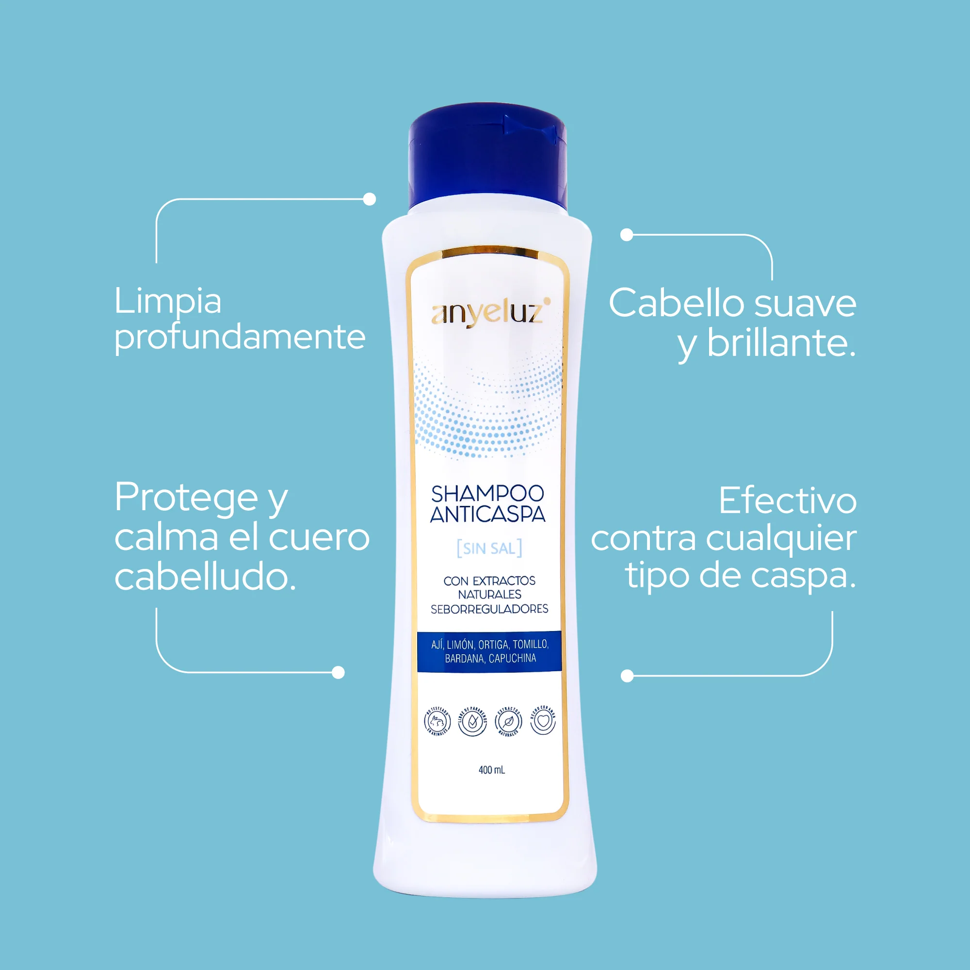 SHAMPOO ANYELUZ ANTICASPA X400ML - Imagen 2